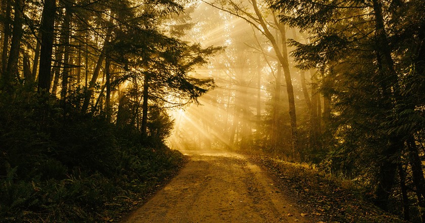 photo by Patrick Fore of sun shining through trees on a forest path